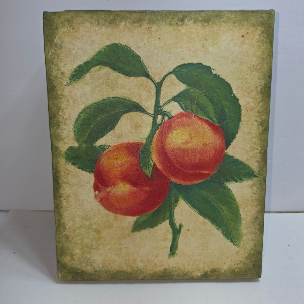 Vtg Style Peach Fruit Canvas Wall Art Botanical Still Life Kitchen Decor 8x10